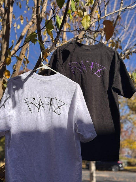 Collection 001 Bundle